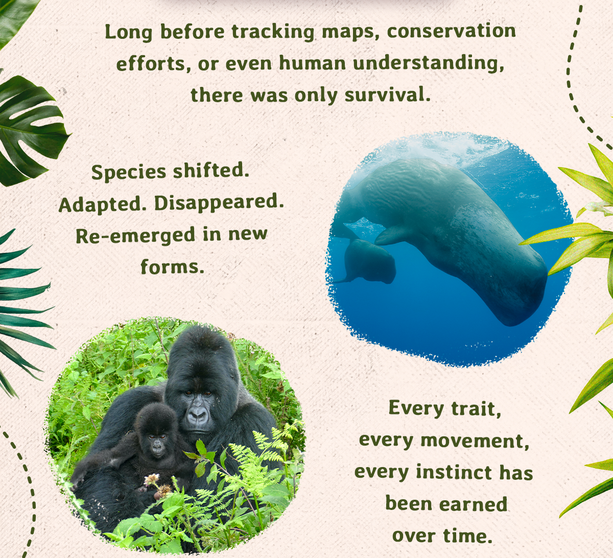 Long before tracking maps, conservation efforts, or even human understanding, there was only survival. Origins was an incredible look into some of the key evolutionary stories integral to our planet's wildlife.