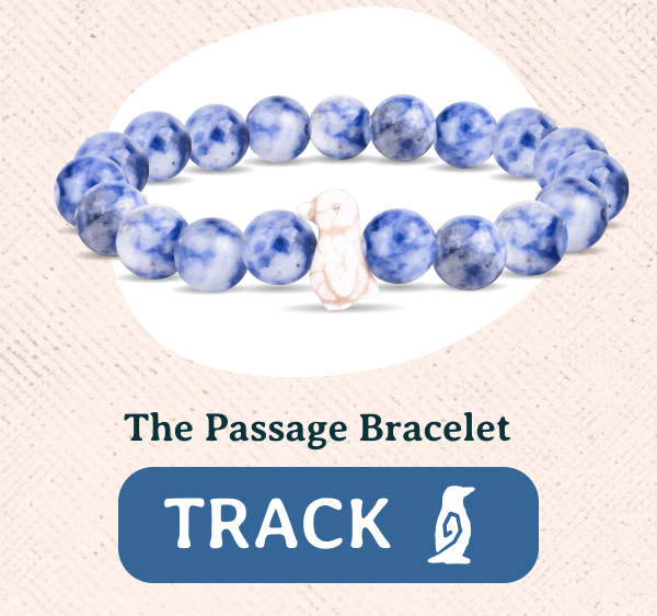 Track an animal in the wild with a Fahlo animal tracking bracelet! Real penguins are waiting to be tracked!