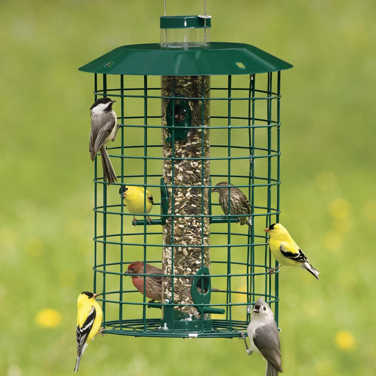 Image of Duncraft Squirrel Proof Selective Bird Feeder