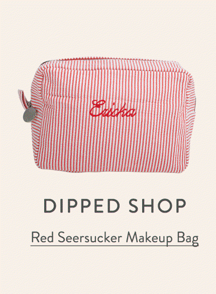 Red Seersucker Makeup Bag 