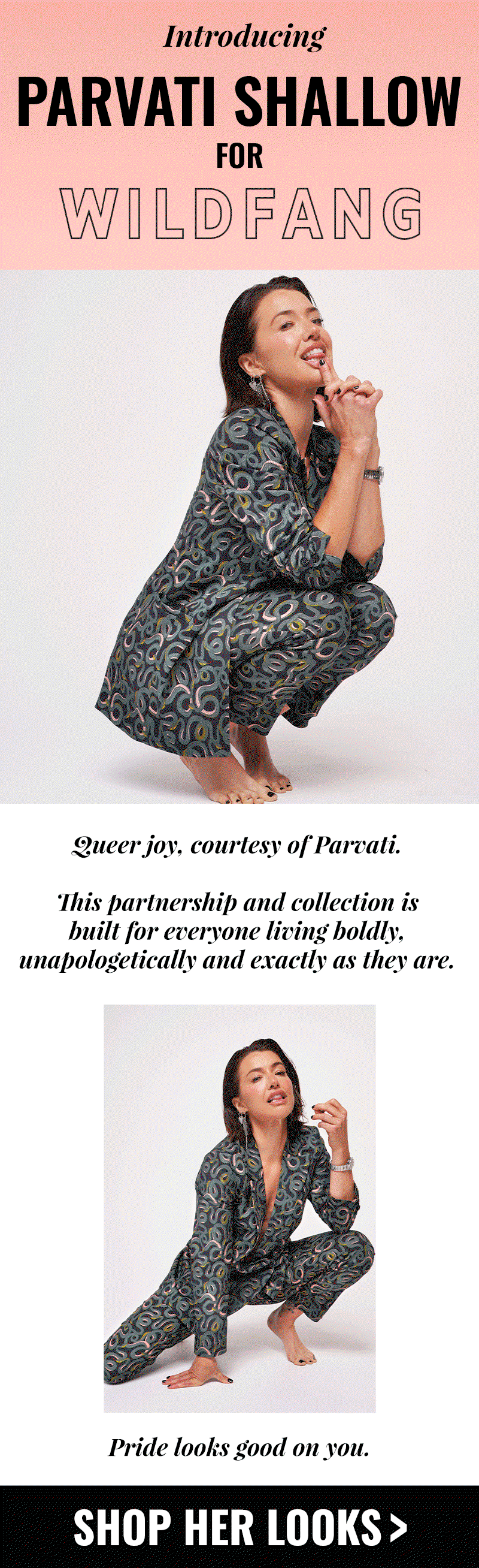 INTRODUCING PARVATI SHALLOW