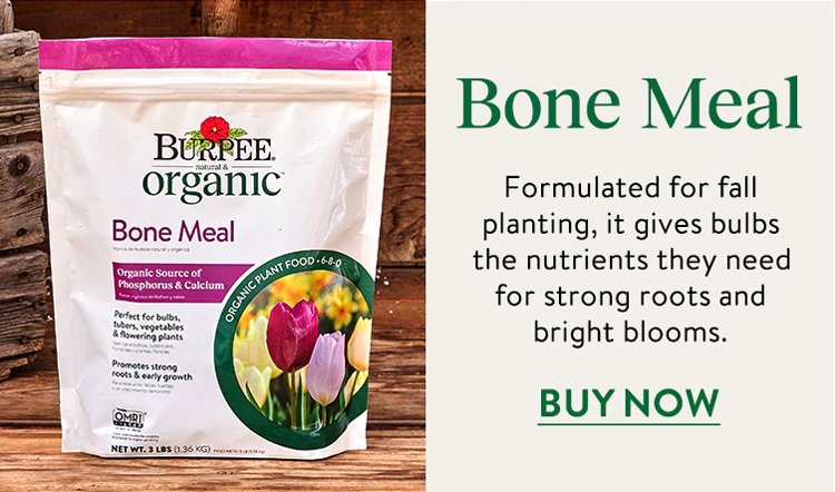 Burpee's Natural Organic Bone Meal 6-8-0