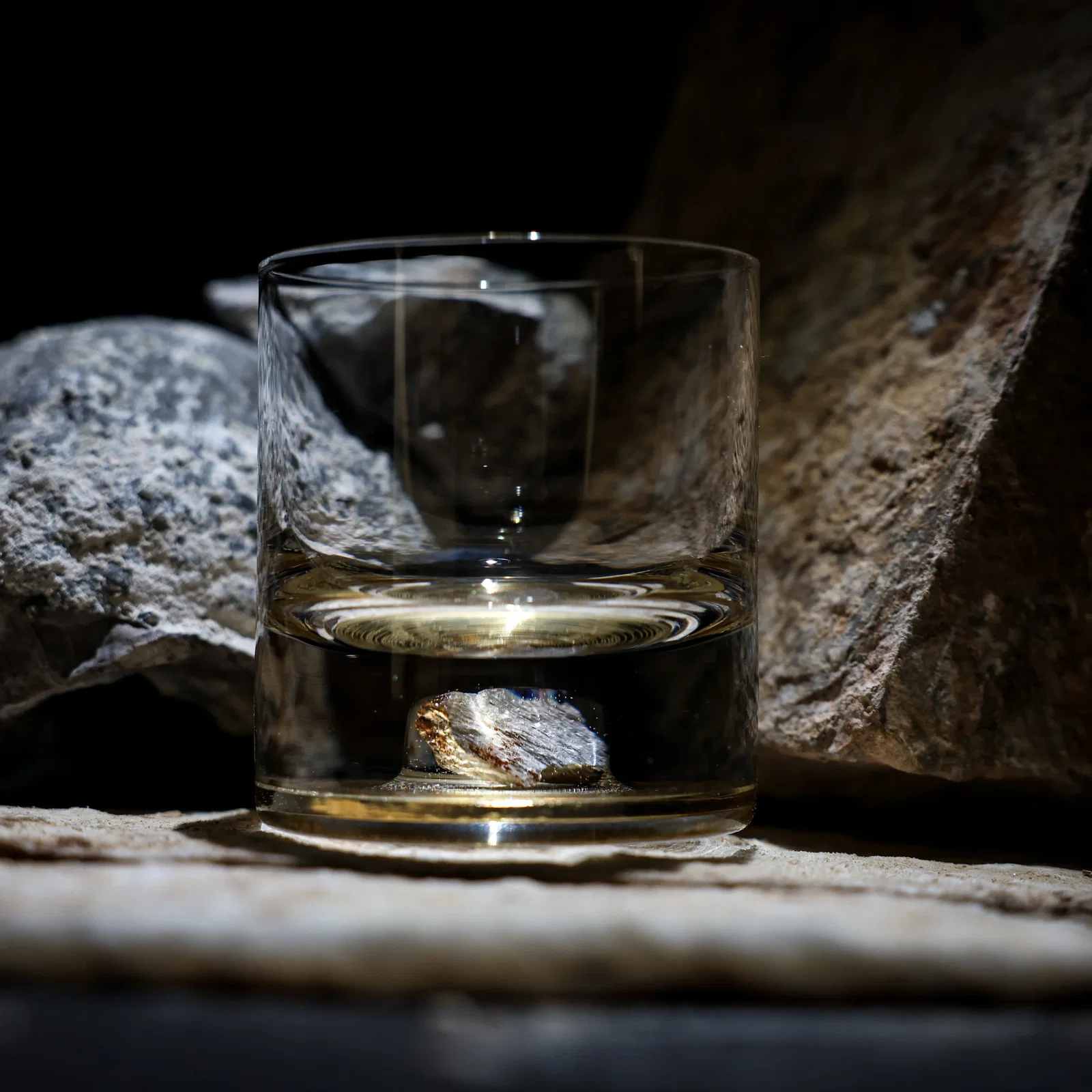 Image of T. rex Bone Tumbler 
