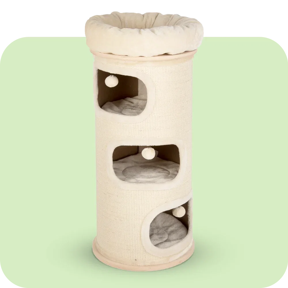Cat trees and scratchers
