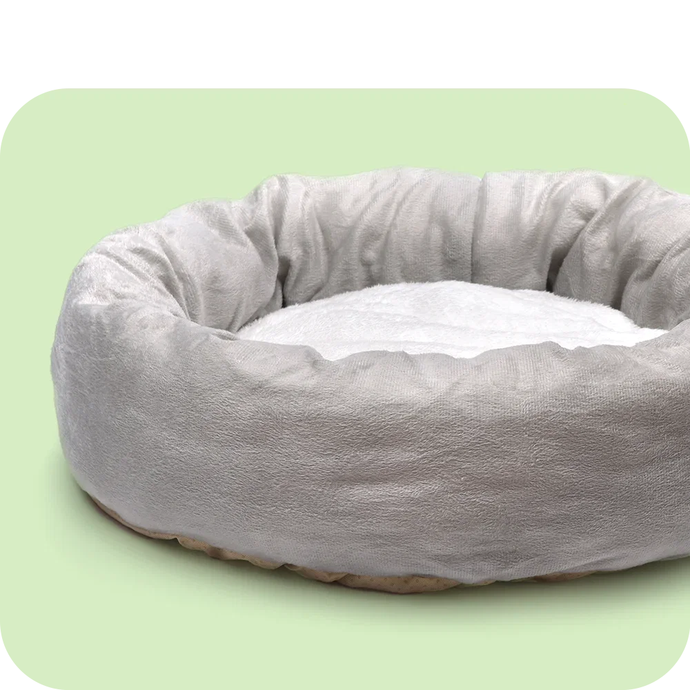 Dog beds