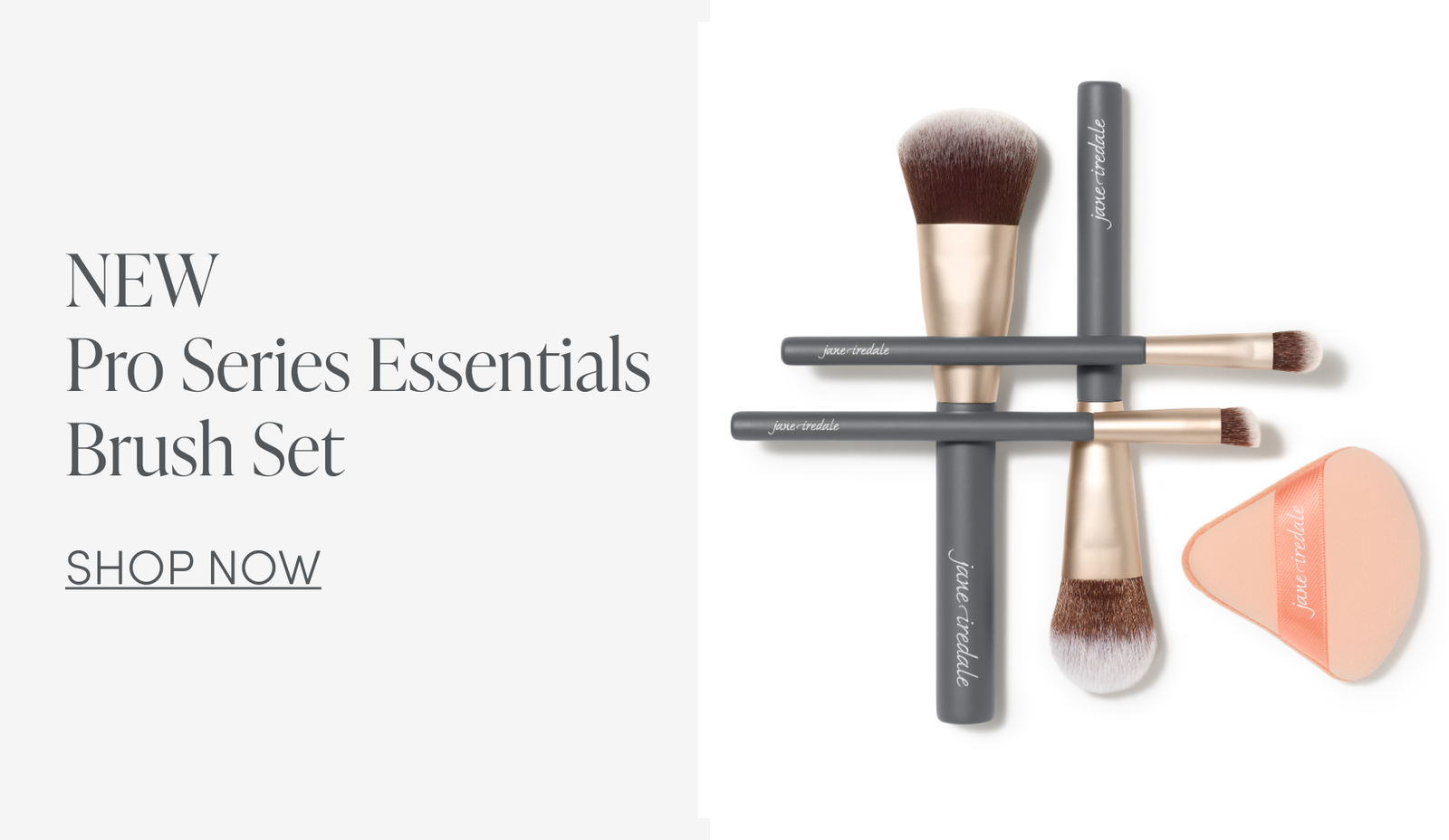 NEW Pro Series Essentials Brush Set 