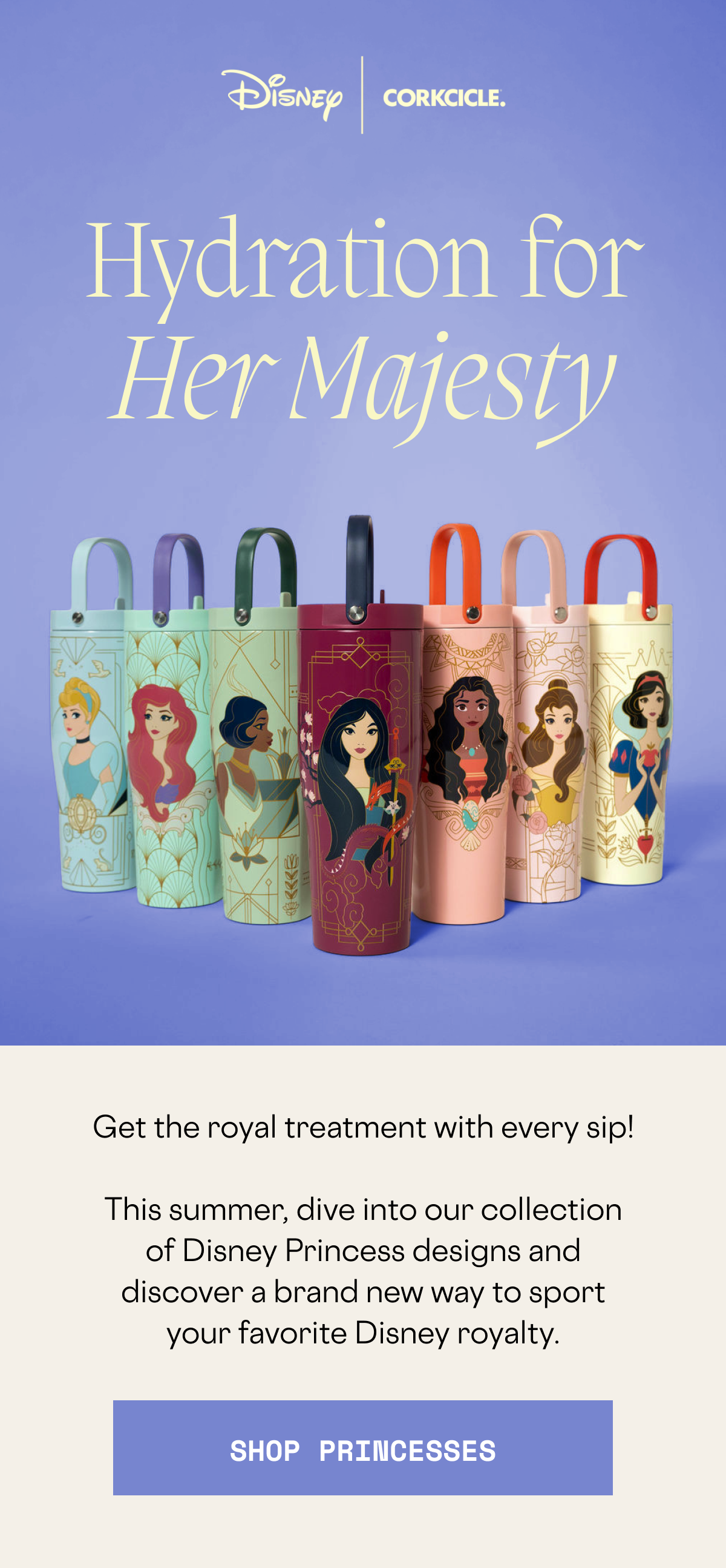 Shop full Disney Princess collection