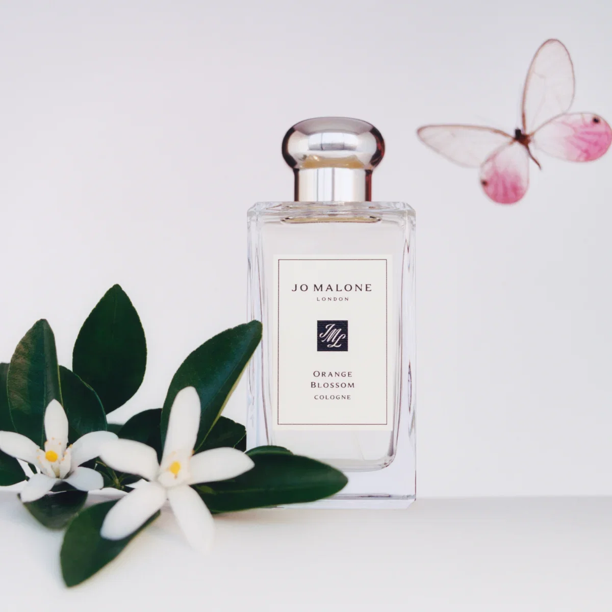 Orange Blossom | Jo Malone London