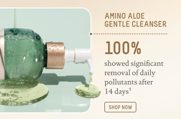 Amino Aloe Gentle Cleanser