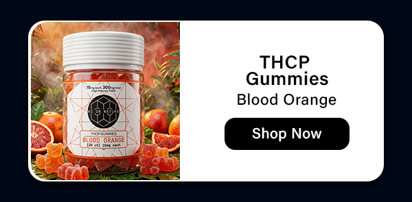 300MG THC-P GUMMY BEARS