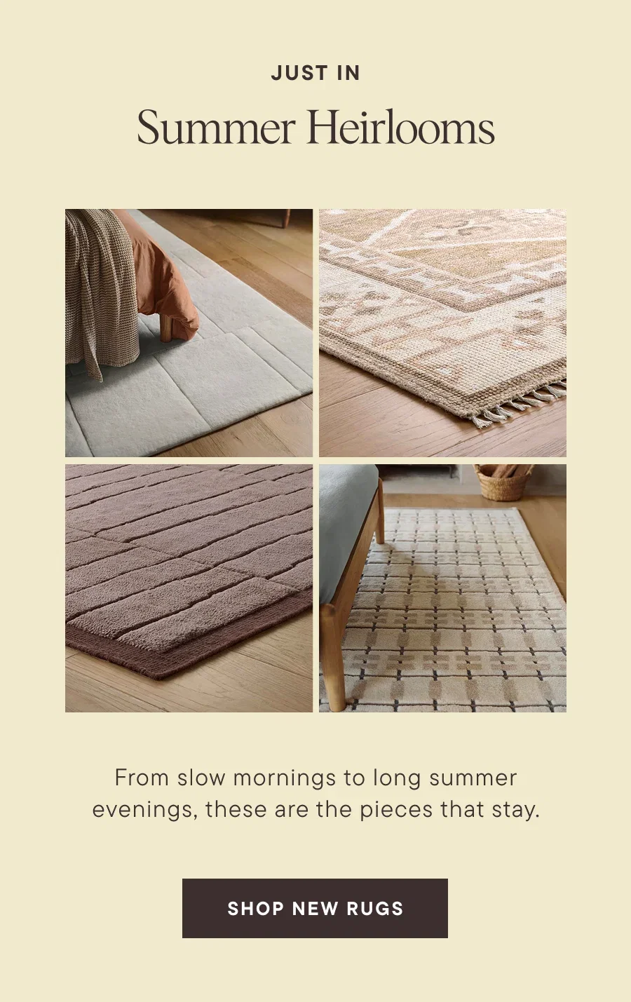 Shop Rugs