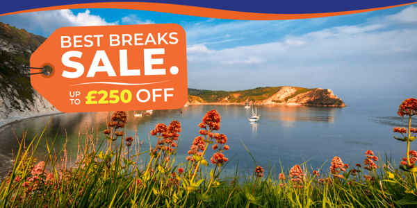 Scenic coastal view with flowers in the foreground and boats on the calm water.