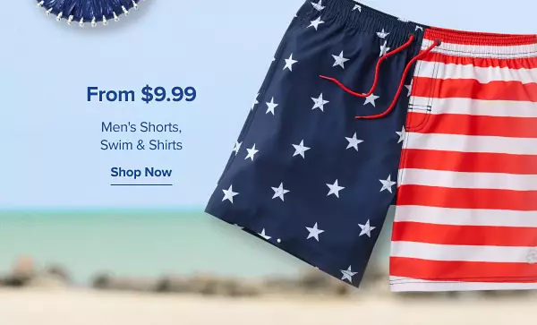 From 9.99 mens shorts, swim and shirts. Shop now. A bathing suit with the American flag in it.