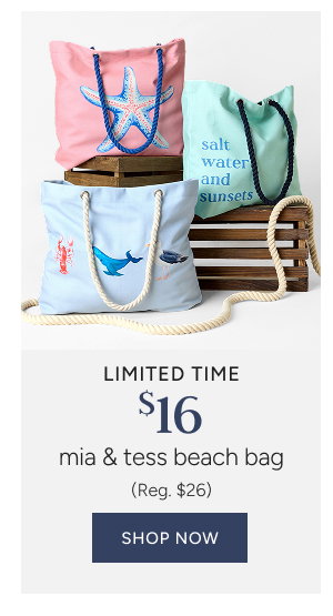$16 Mia and Tess Beach Bag (reg. $26)