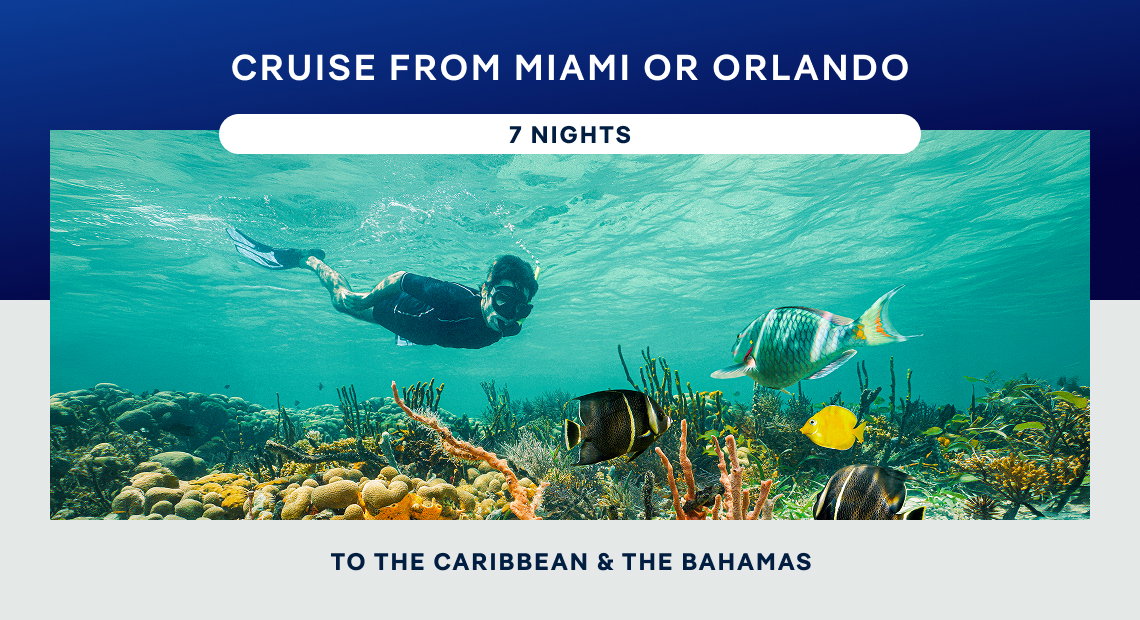 The Caribbean & The Bahamas – 7 Nights From Miami or Orlando (Port Canaveral) – Click to View Cruises & Book Now