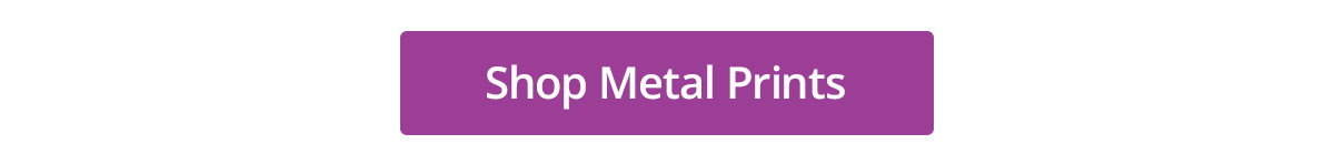 Shop Metal Prints