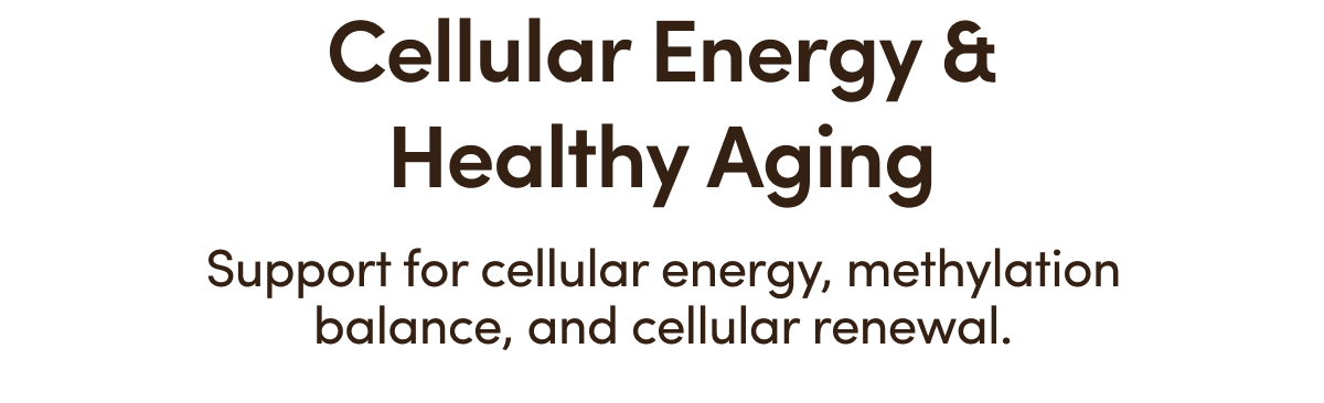 Cellular Energy & Healthy Aging