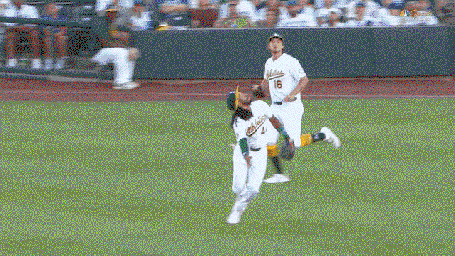 An animated gif of A's second baseman Joshua Kuroda-Grauer making a diving catch on a popup in short center field
