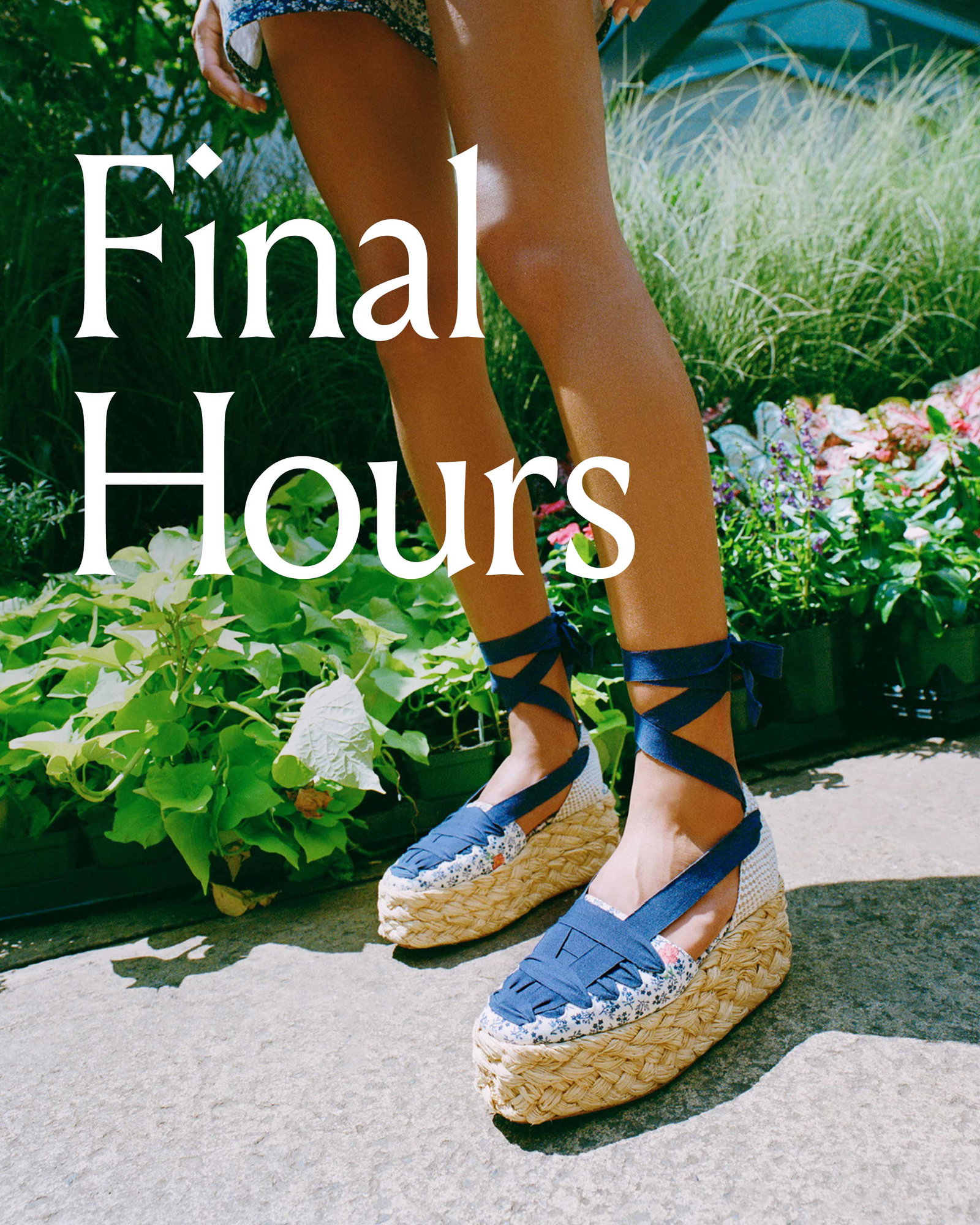 Final Hours