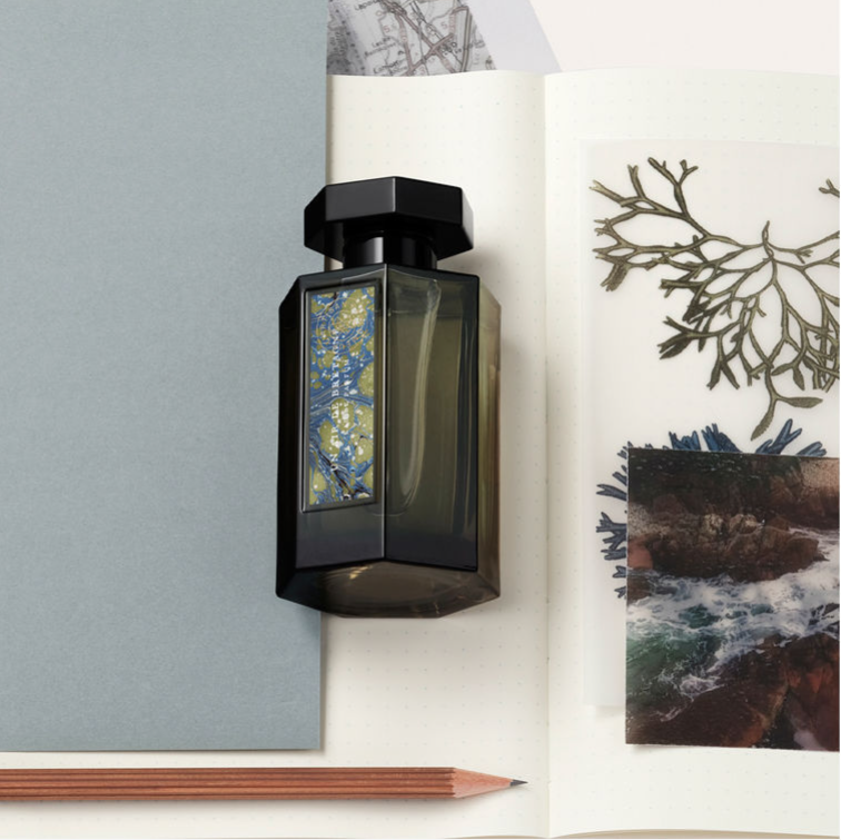 A coastline captured in scent