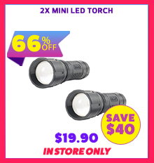 2x Mini LED Torch