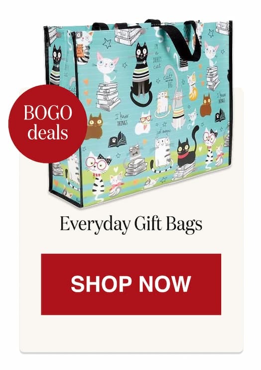 Everyday Gift Bags [Click here to Shop Now]