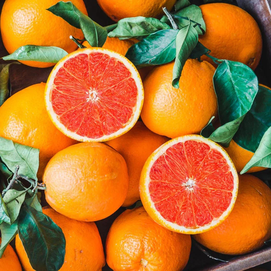 Image of Cara Cara Orange Tree