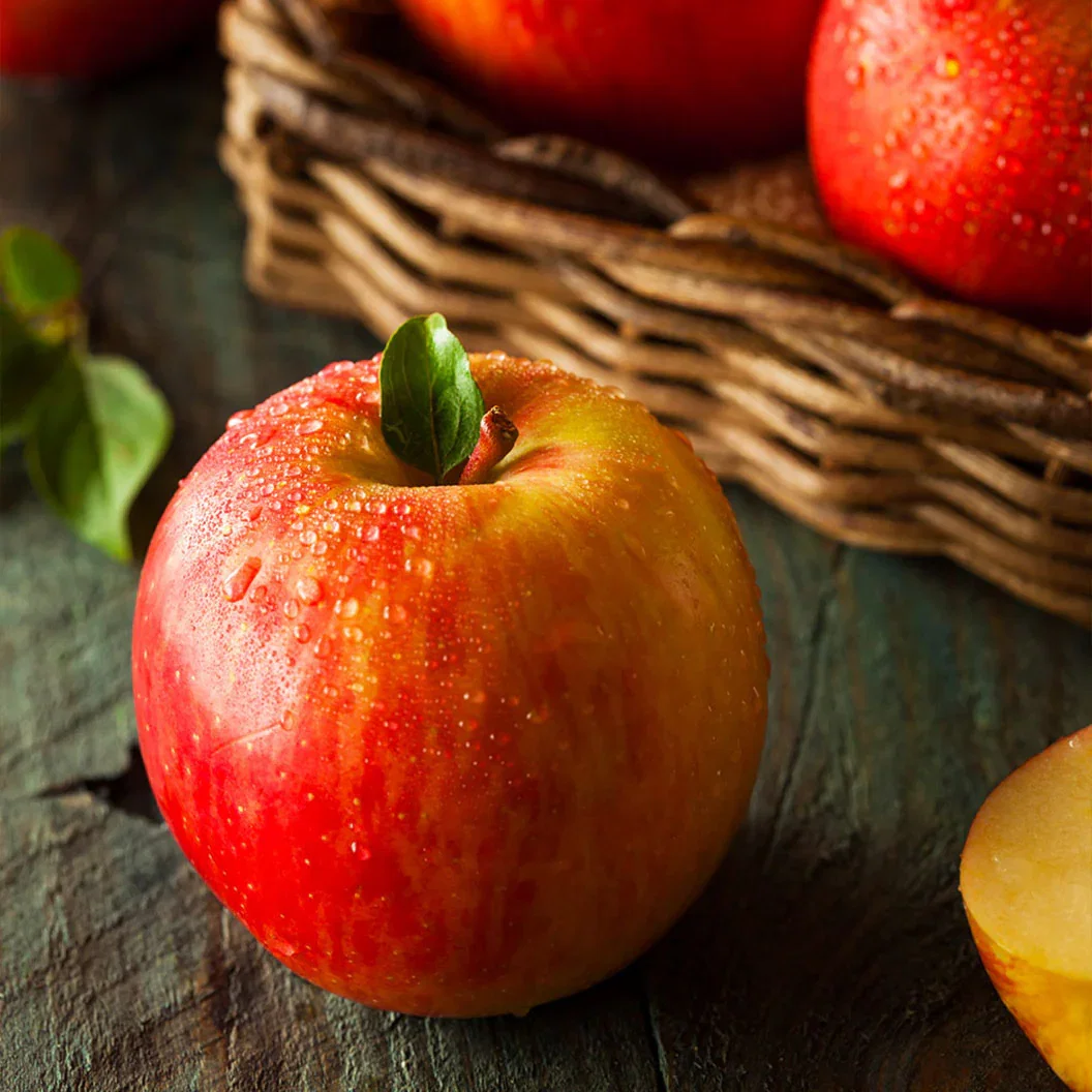 Image of Fuji Apple Tree