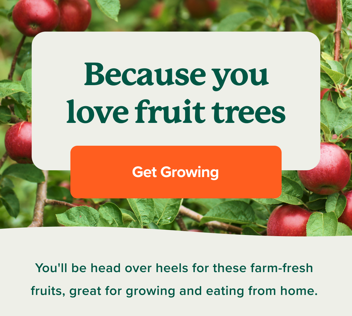 Get Growing