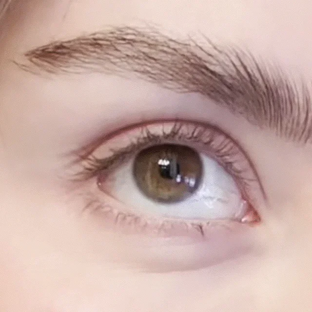 Next-Level Lashes