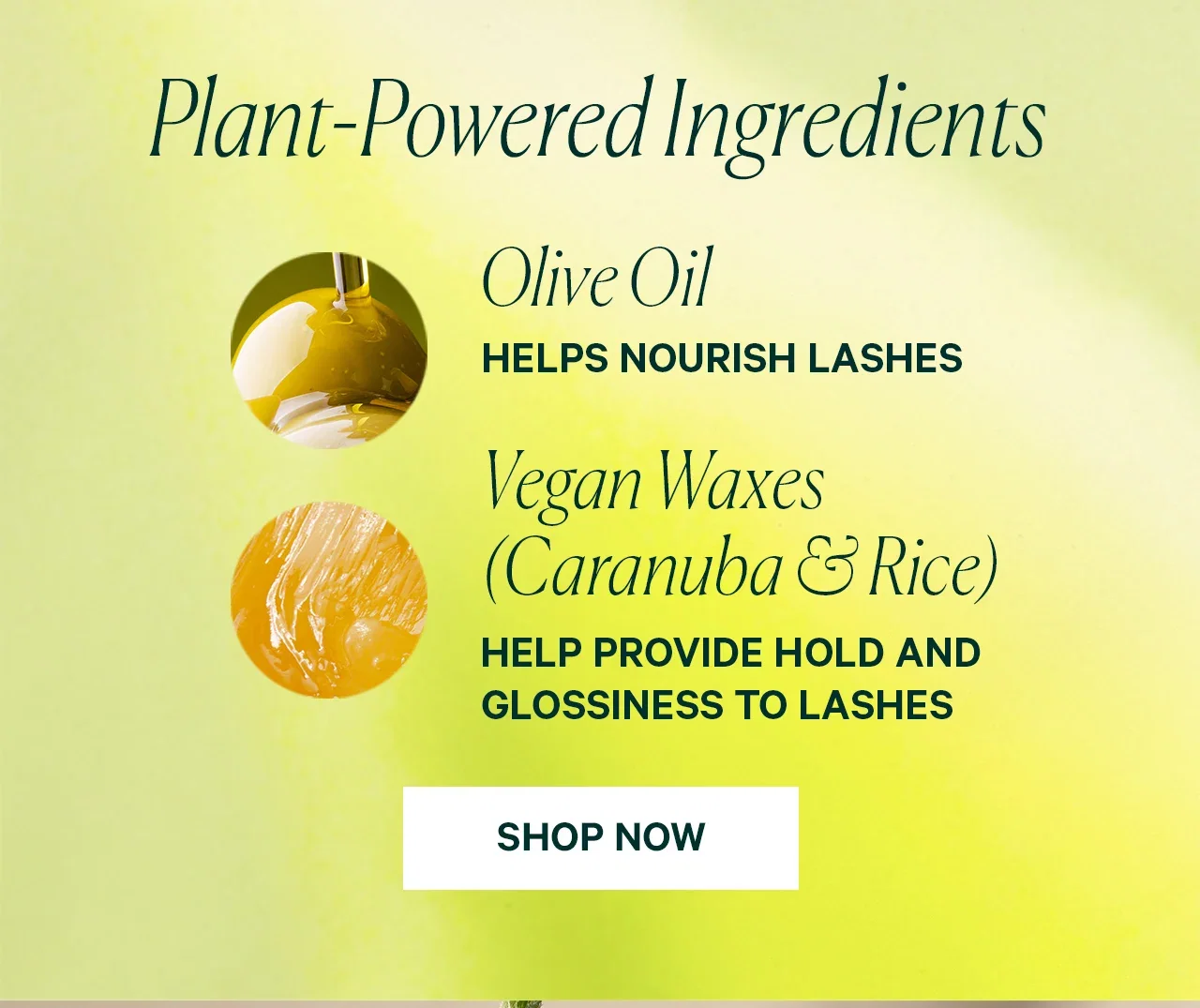 Plant-Powered Ingredients