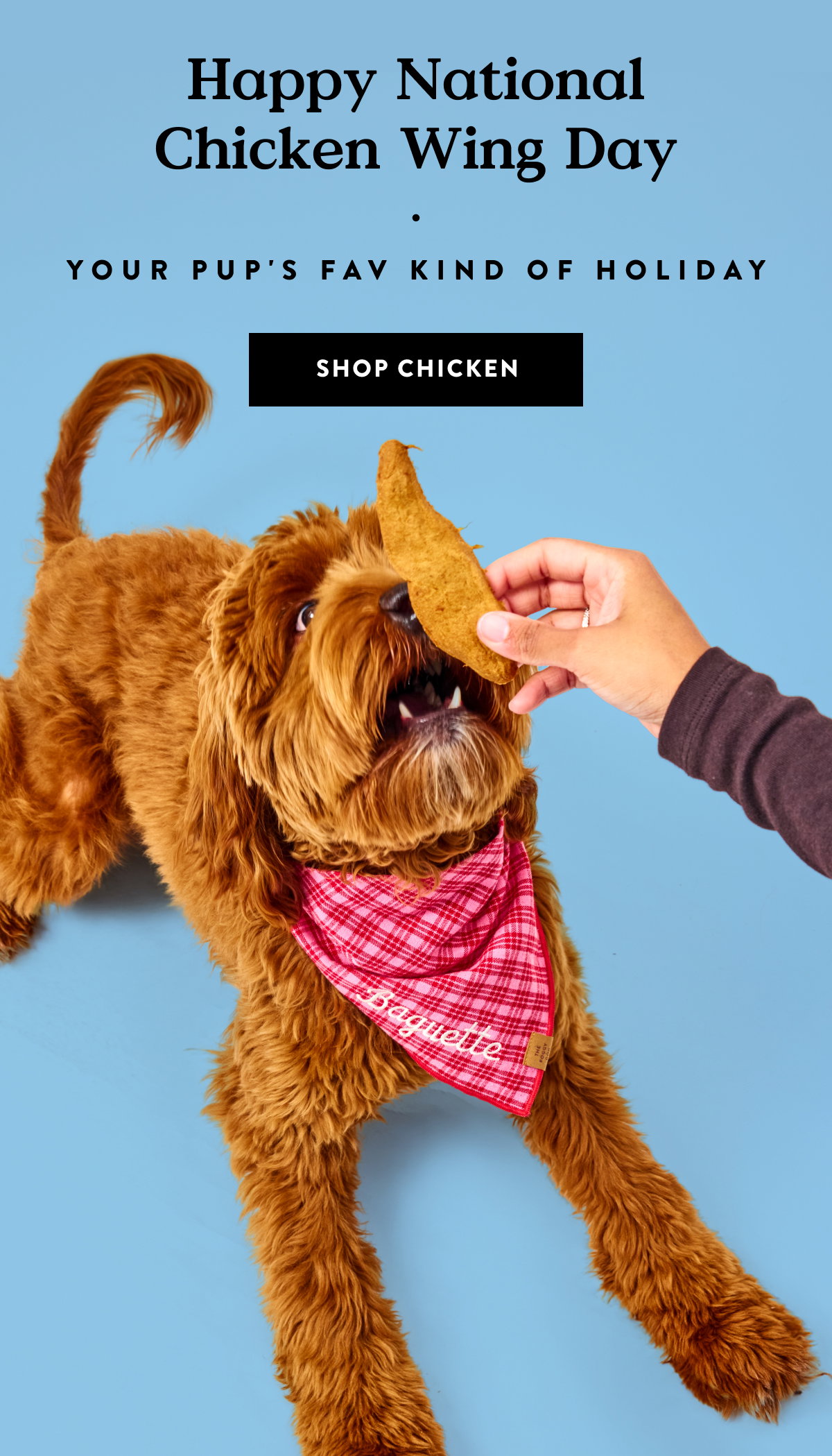 Shop Chicken
