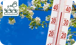 Que faire au jardin en cas de grosse vague de chaleur ?