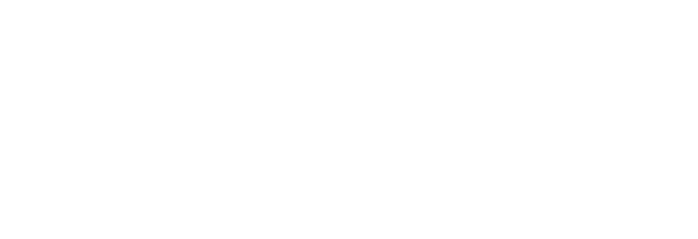 Shop SonicElectronix.com