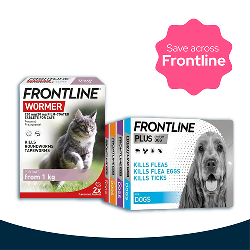 Frontline