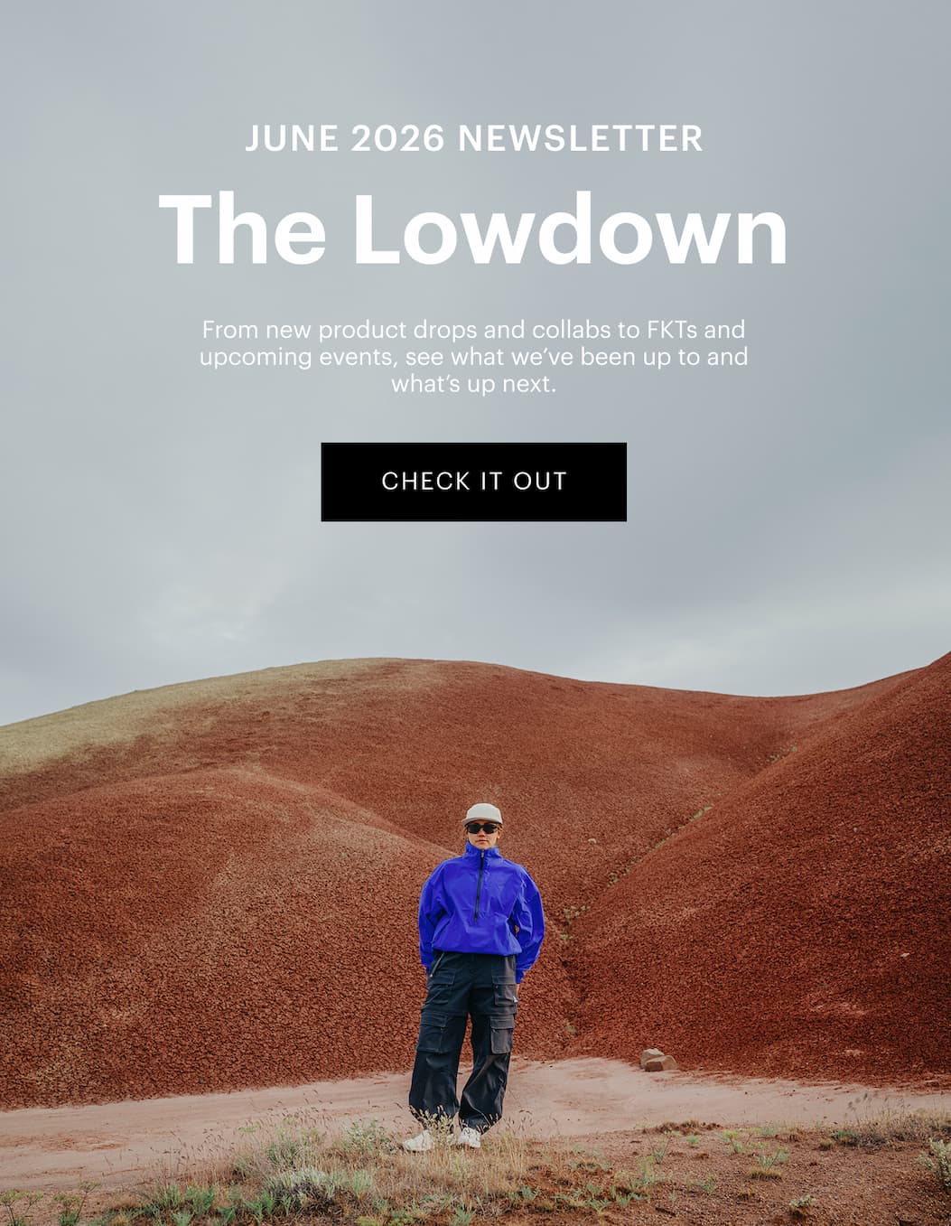 June 2026 Newsletter | The Lowdown 