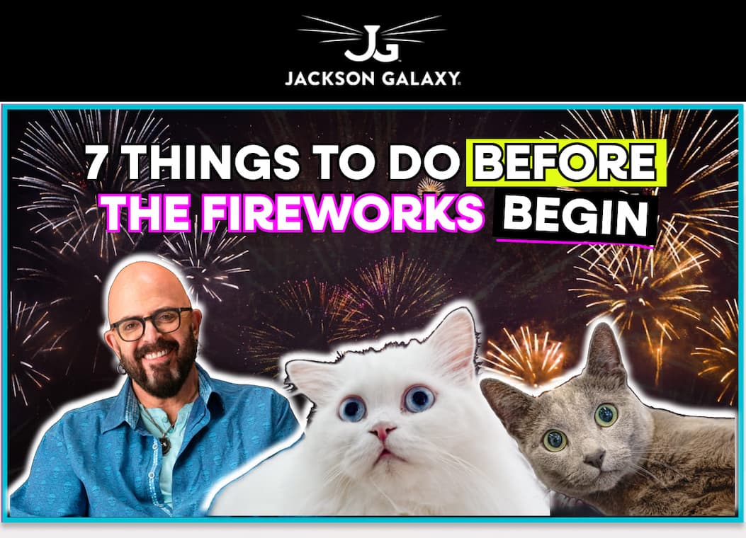 7 Things to Do Before the Fireworks Begin