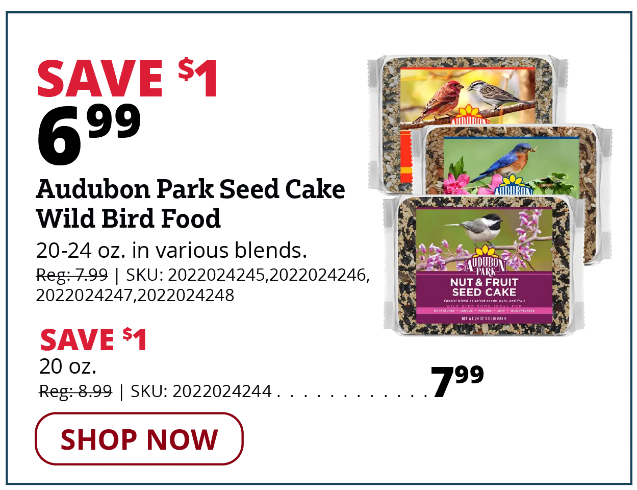 Audubon Park Seed Cake