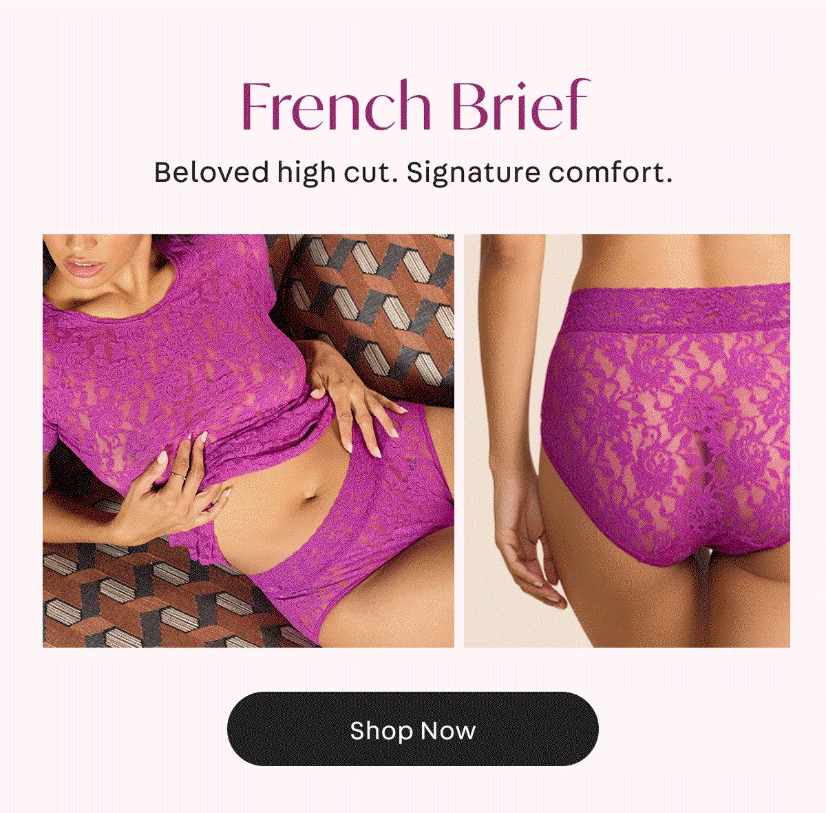 French Brief 