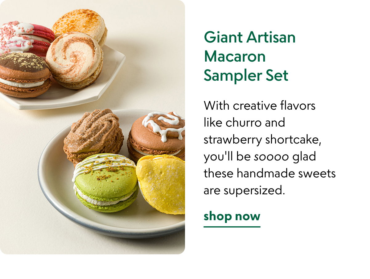 giant-artisan-macaron-sampler-set