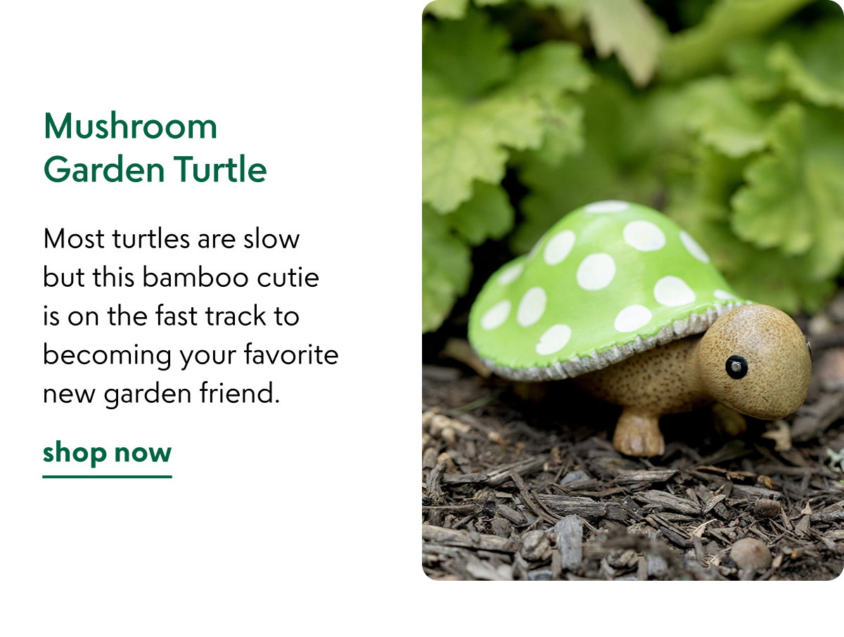 mushroom-garden-turtle
