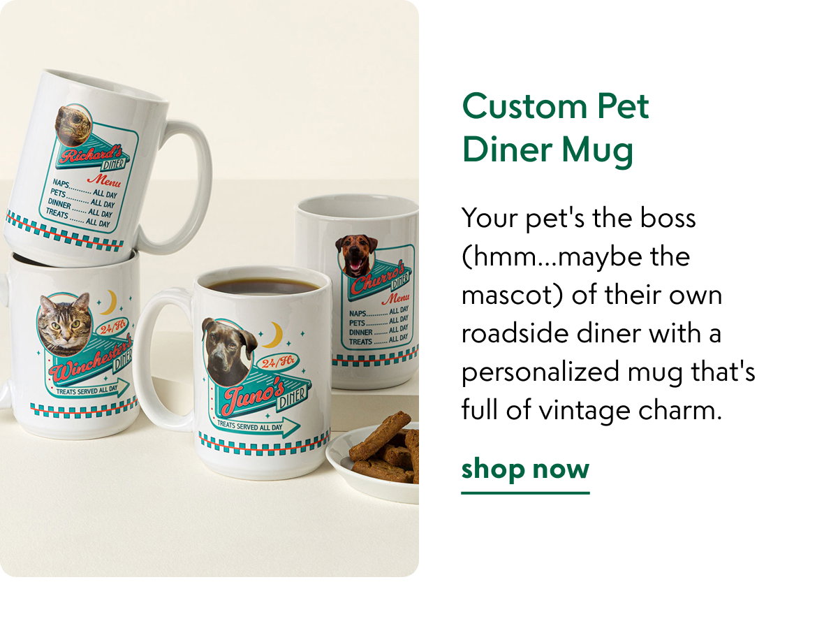 custom-pet-diner-mug