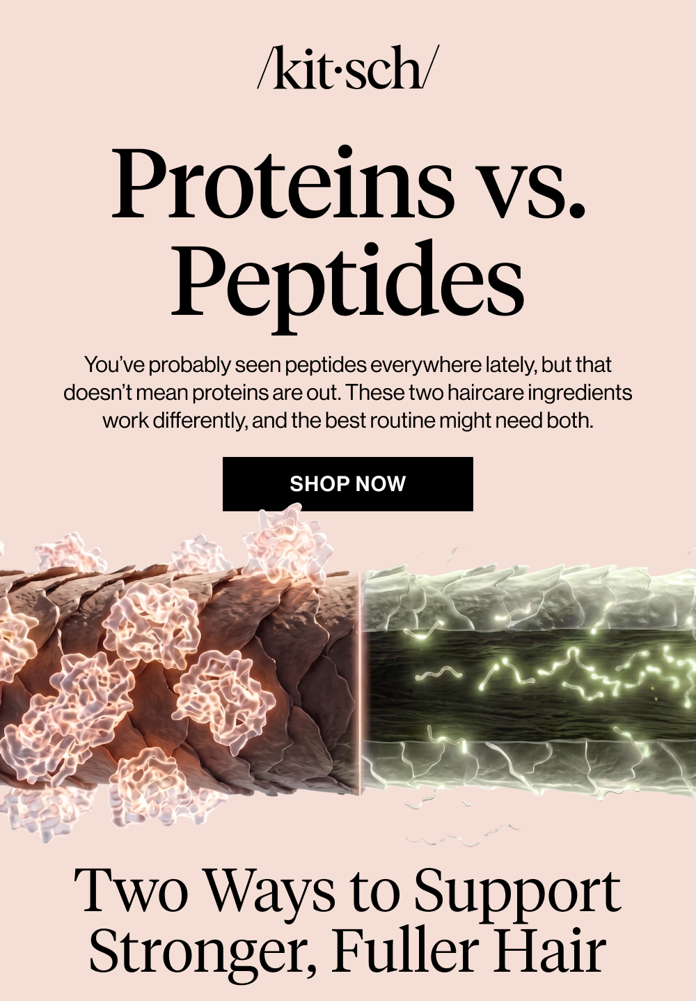 Proteins vs. Peptides Body copy: You’ve probably seen peptides everywhere lately. But that doesn’t mean proteins are out. These two haircare ingredients work differently, and the best routine might need both.
