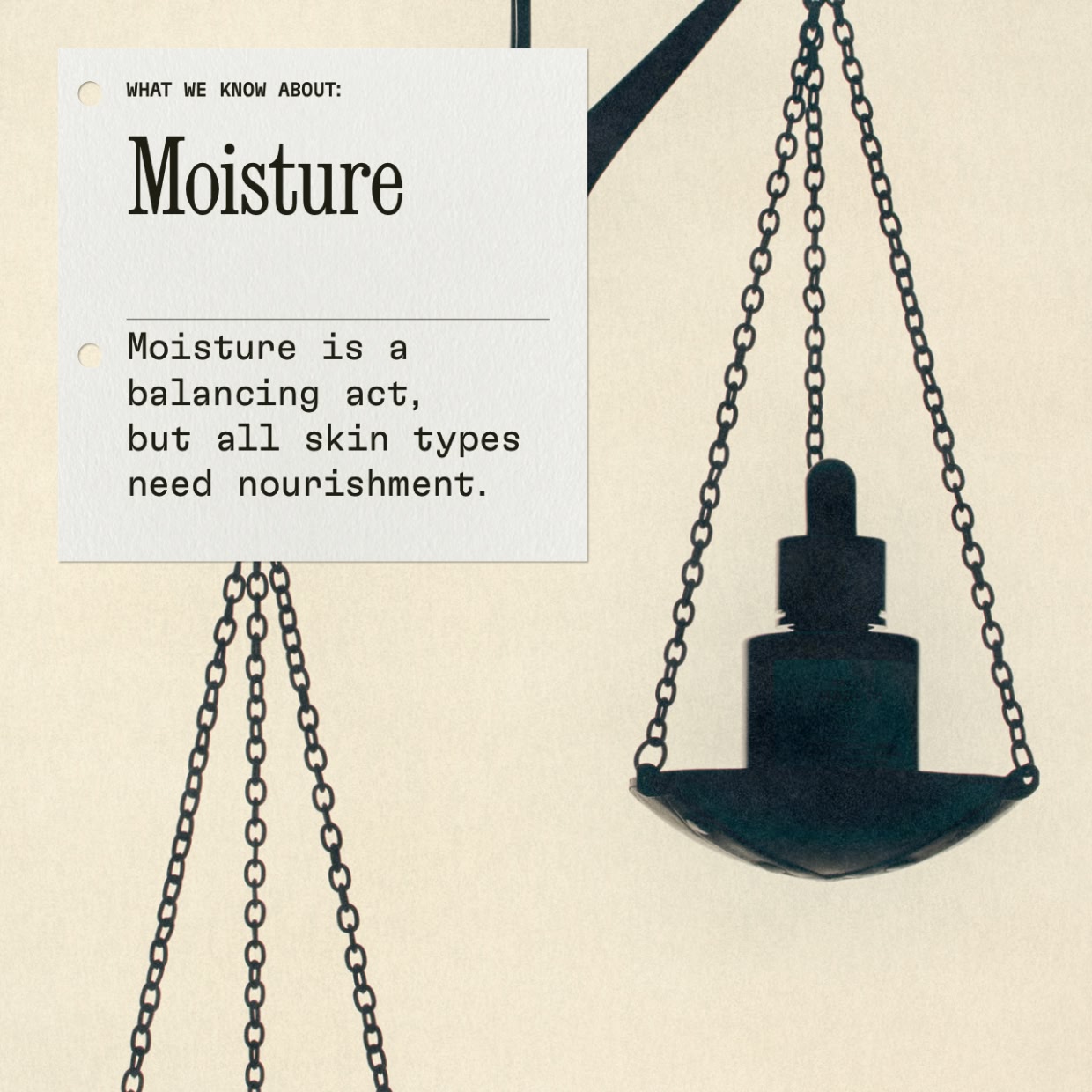 What We Know About Moisture