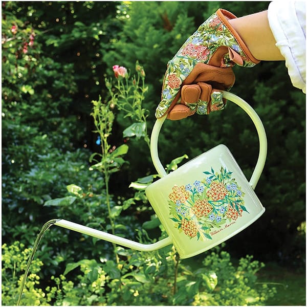 31036 Morris Jasmine Indoor Watering Can £16.99 £11.99