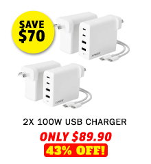 2x 100W USB Charger