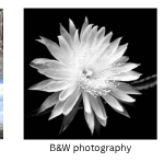 B&W Photography