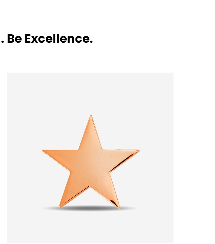 Copper Star Pin