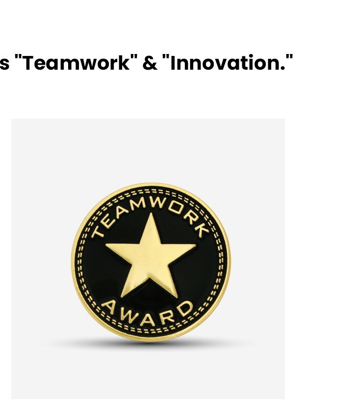 Teamwork Award Pin