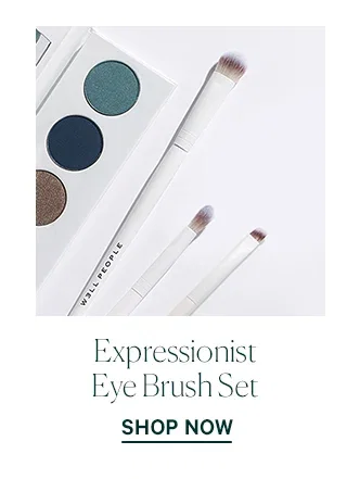 expressionist eye brush set